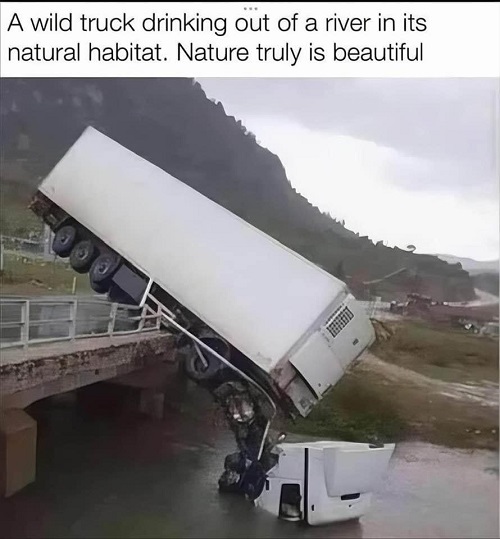 wild truck drinking out of river.jpg